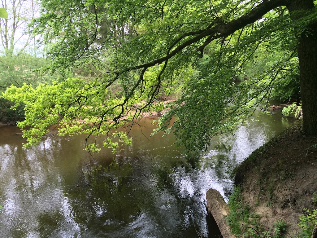Barneführerholz