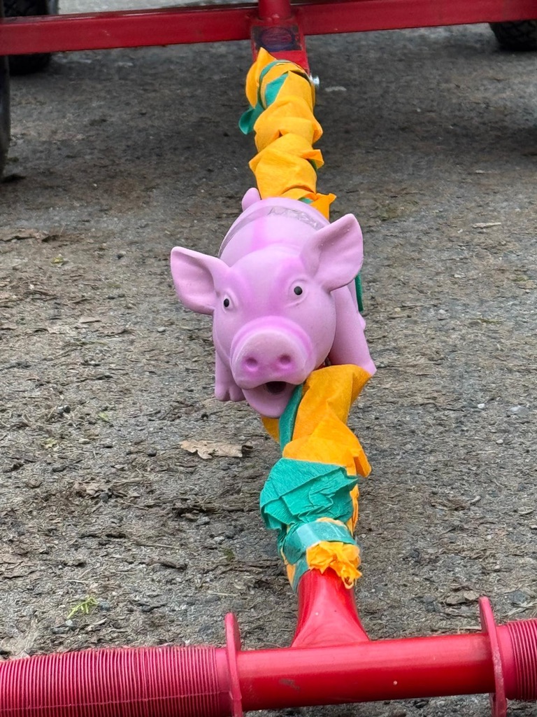 bosselschwein
