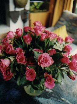 Rosen zum 50.
